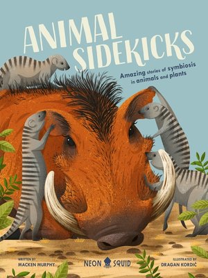 cover image of Animal Sidekicks